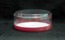 Cookie Plastic Box (140x50mm) - Red Gold