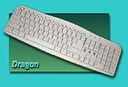 SUH Dragon 107 Keys Standard keyboard(Silver 2 tone)
