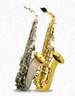 B&S Alto Saxophone series 600