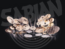 SABIAN AA w/stand, short cable remote