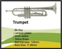 Ayers ทรัมเปท Trumpet (silver)