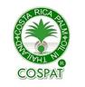 COSPAT เมล็ดพันธุ์ และ ต้นกล้าปาล์มน้ำมัน คอสตาริกา